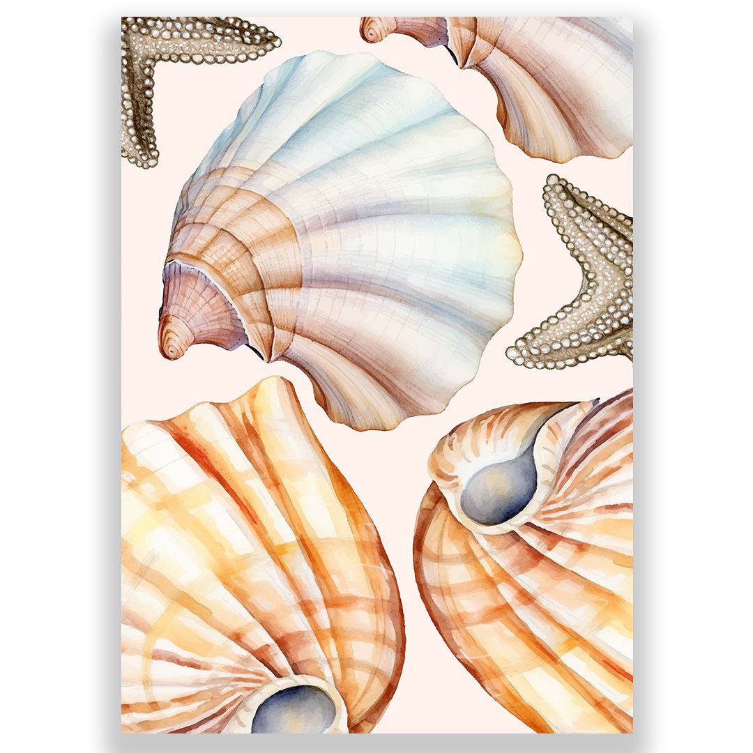Pink Seashells