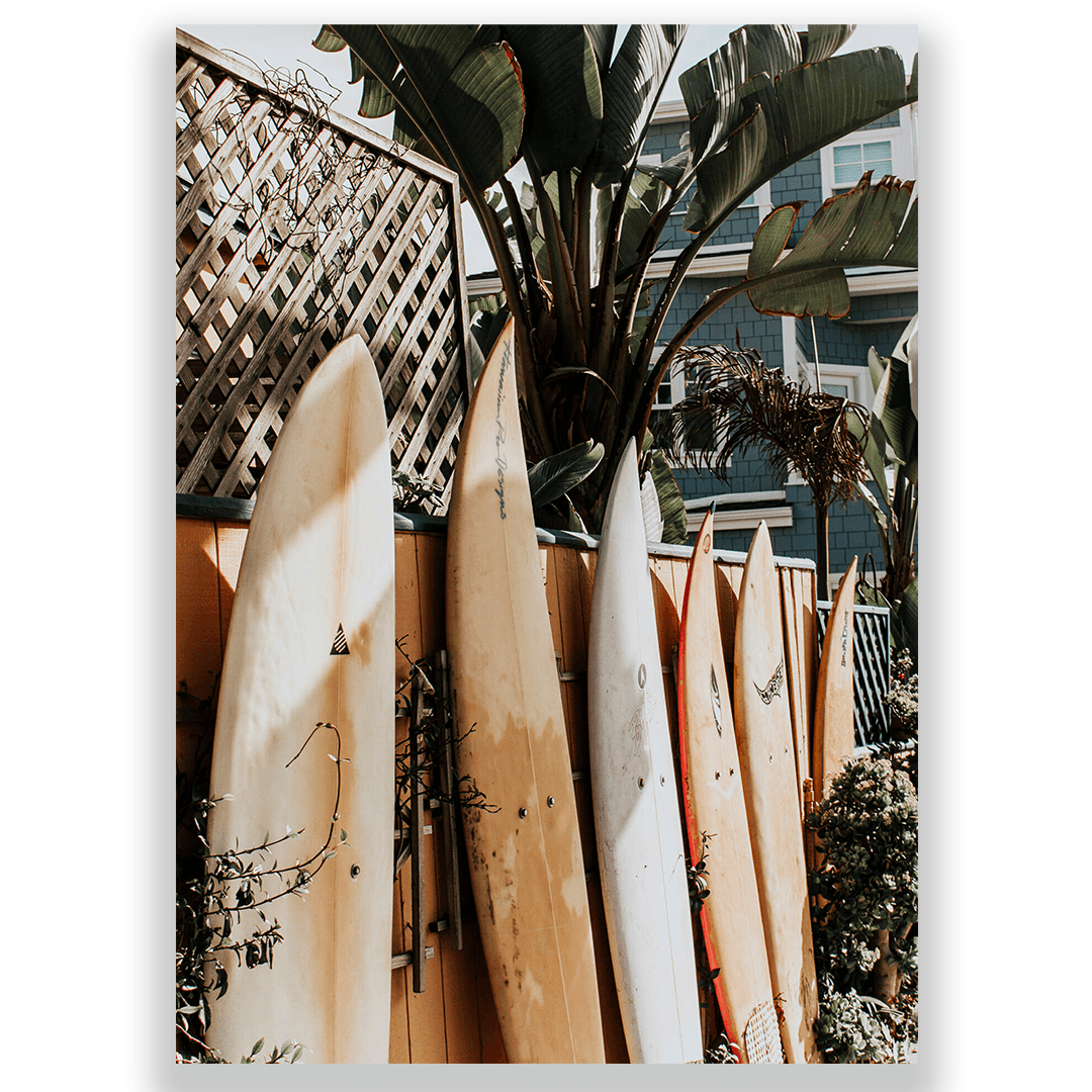 Summer surfs